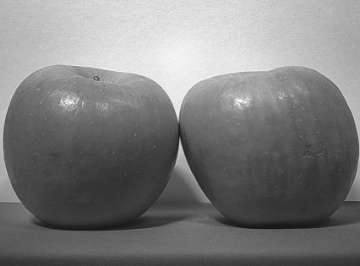 standard image of apples