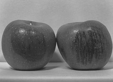 senSWIR image of apples showing moisture contents